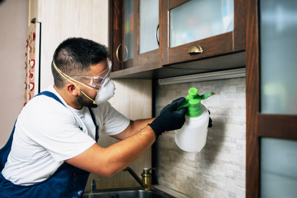 Best Cockroach Control Services  in Horace, ND