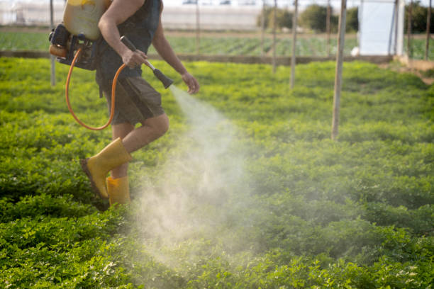 Best Pest Inspection Near Me  in Horace, ND