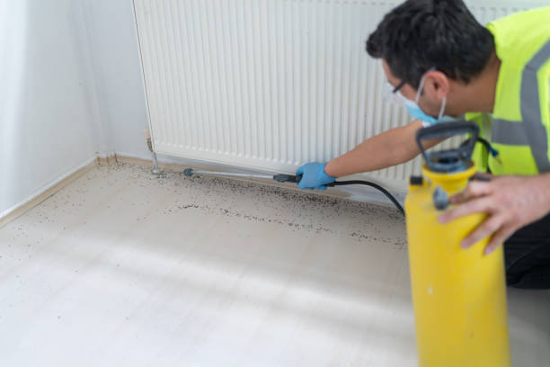 Best Affordable Pest Control Services  in Horace, ND