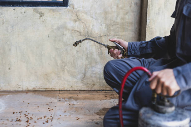 Best Best Pest Control Companies  in Horace, ND